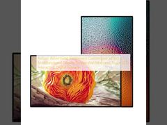 Indoor Advertising Equipment Customized 43 Inch Multifunctional Display Screen Wall Mounted Touch LCD Interactive Digital Signage